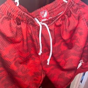 Red Bulls Mitchell and Ness Shorts